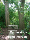 My passions and interests